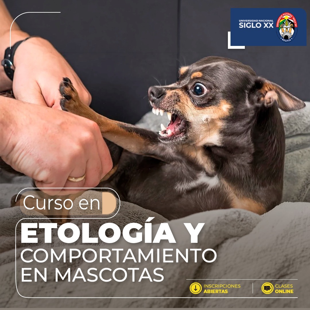 Portada del programa ETOLOGÍA Y COMPORTAMIENTO EN MASCOTAS