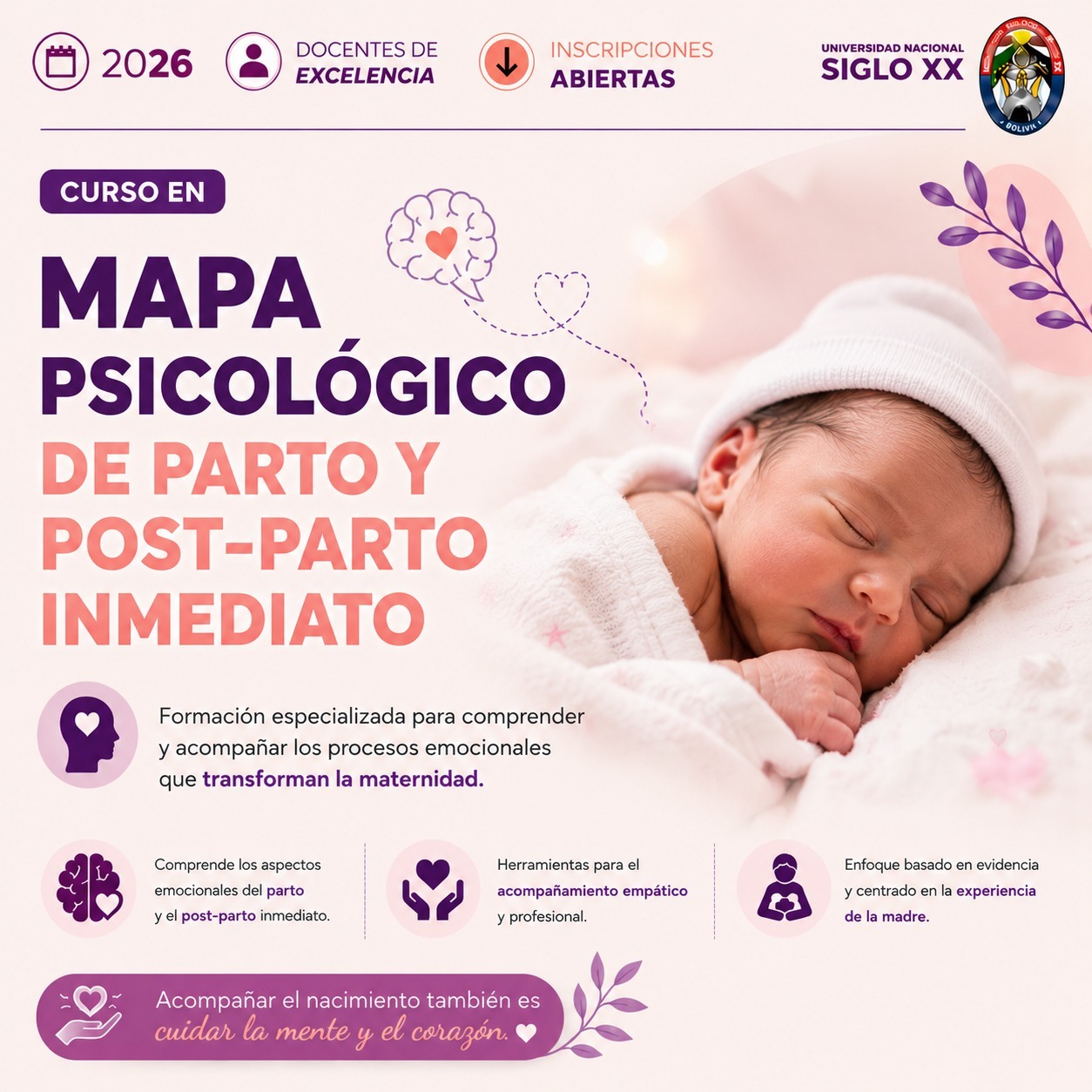 Portada del programa MAPA PSICOLÓGICO DE PARTO Y POST-PARTO INMEDIATO