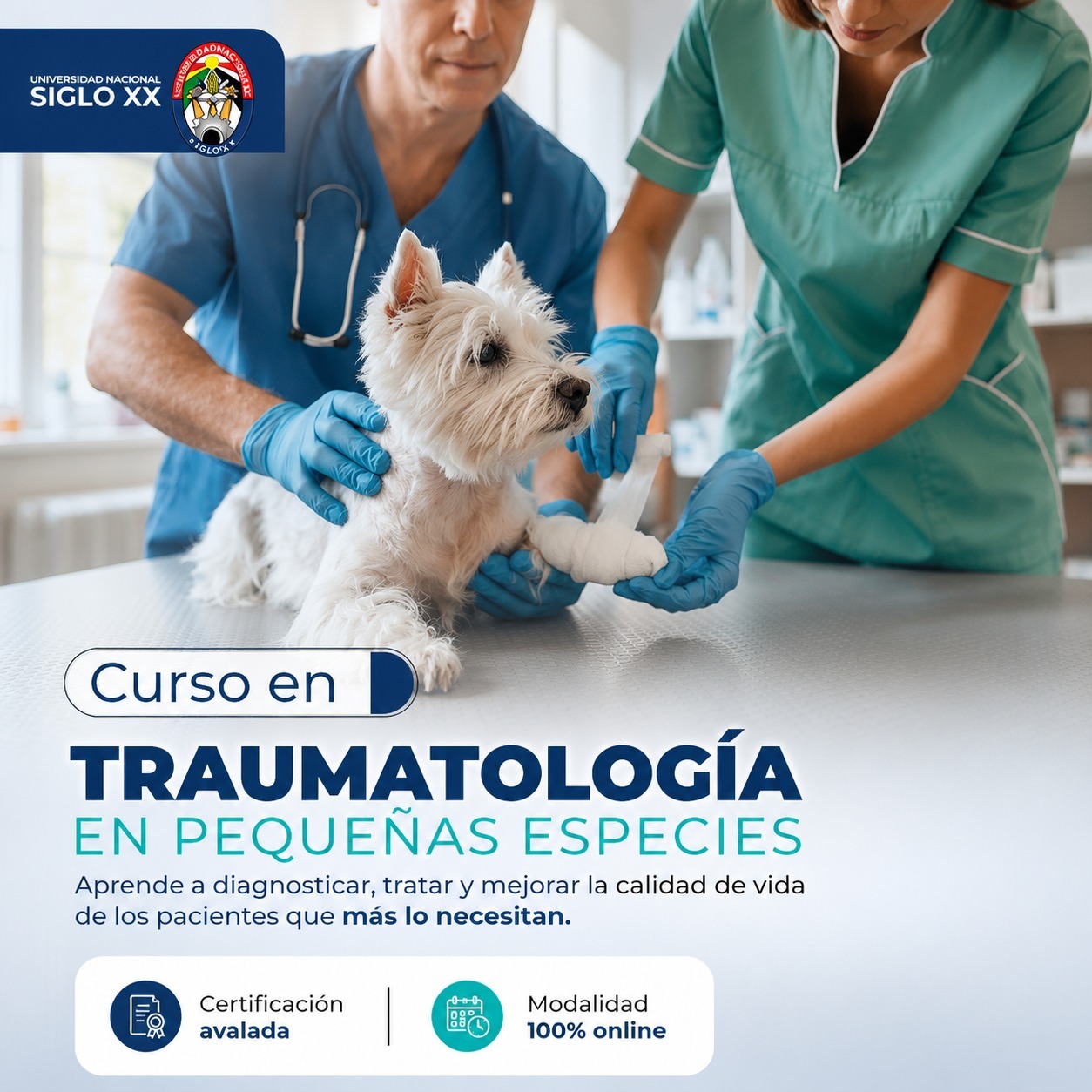 Portada del programa TRAUMATOLOGÍA EN PEQUEÑAS ESPECIES