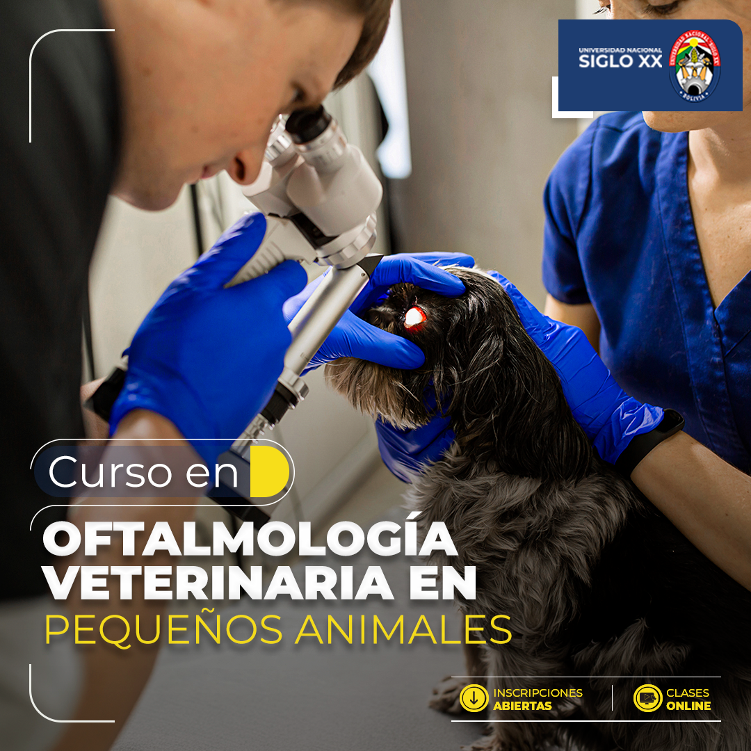 Portada del programa OFTALMOLOGÍA VETERINARIA DE PEQUEÑOS ANIMALES