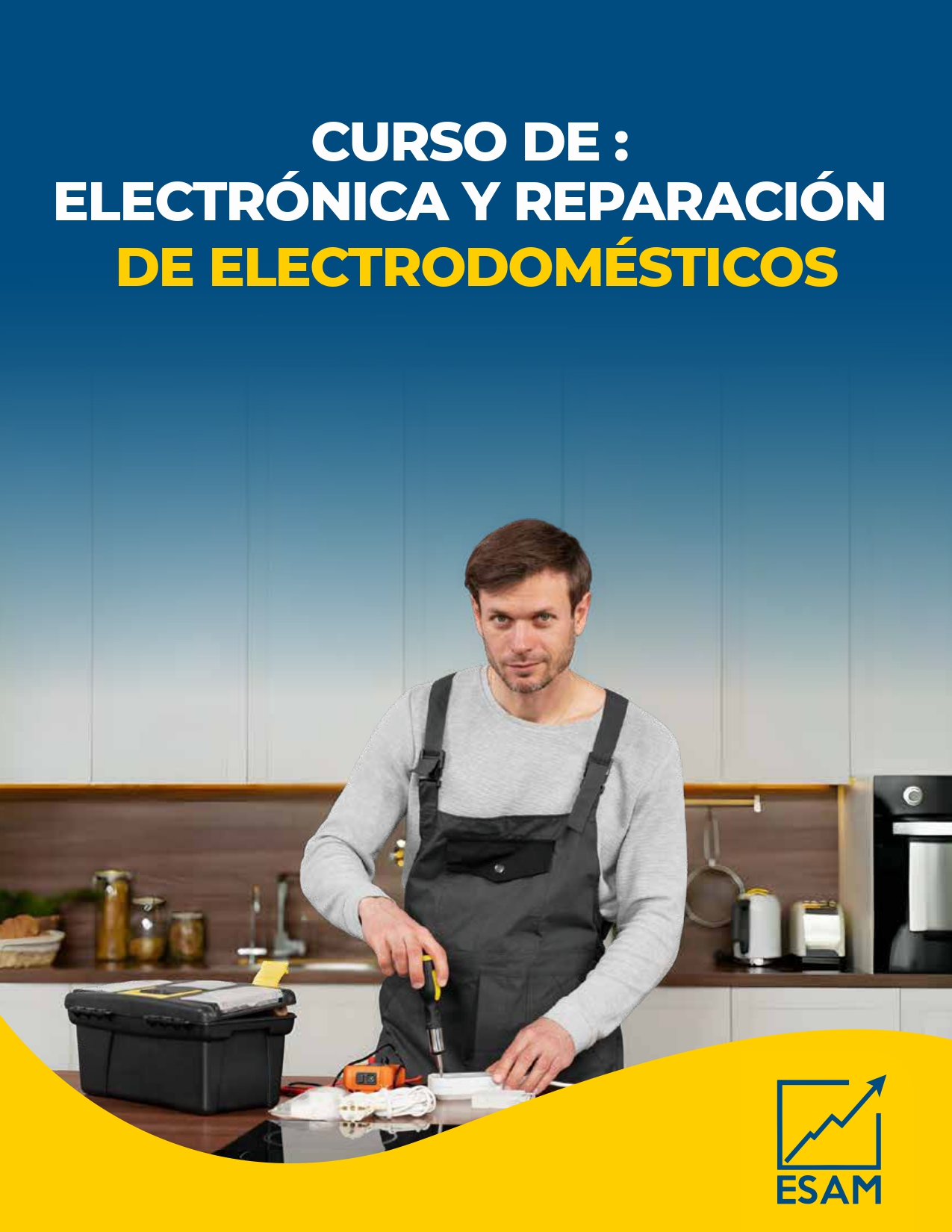 Portada del programa ELECTRÓNICA Y REPARACIÓN DE ELECTRODOMÉSTICOS