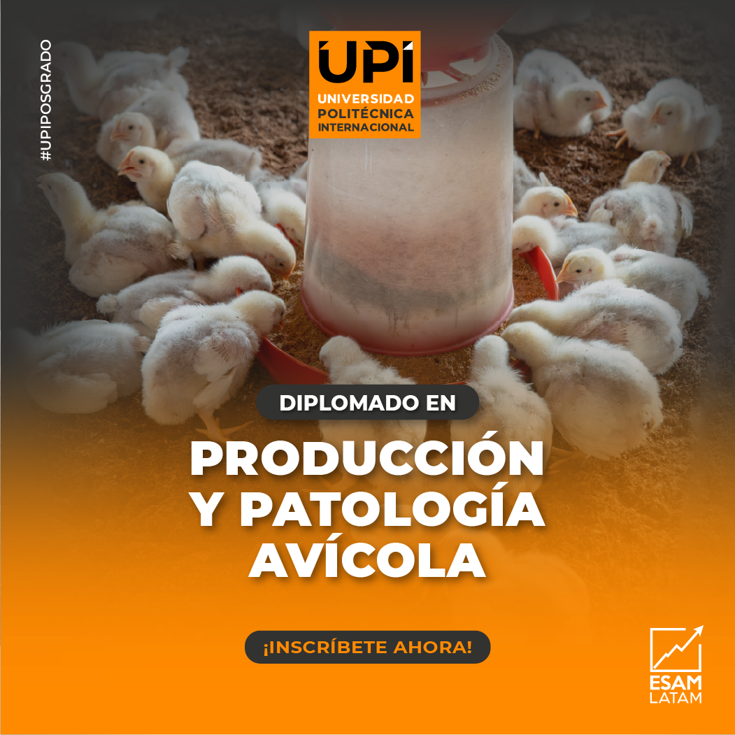 Portada del programa Producción y Patología Avícola