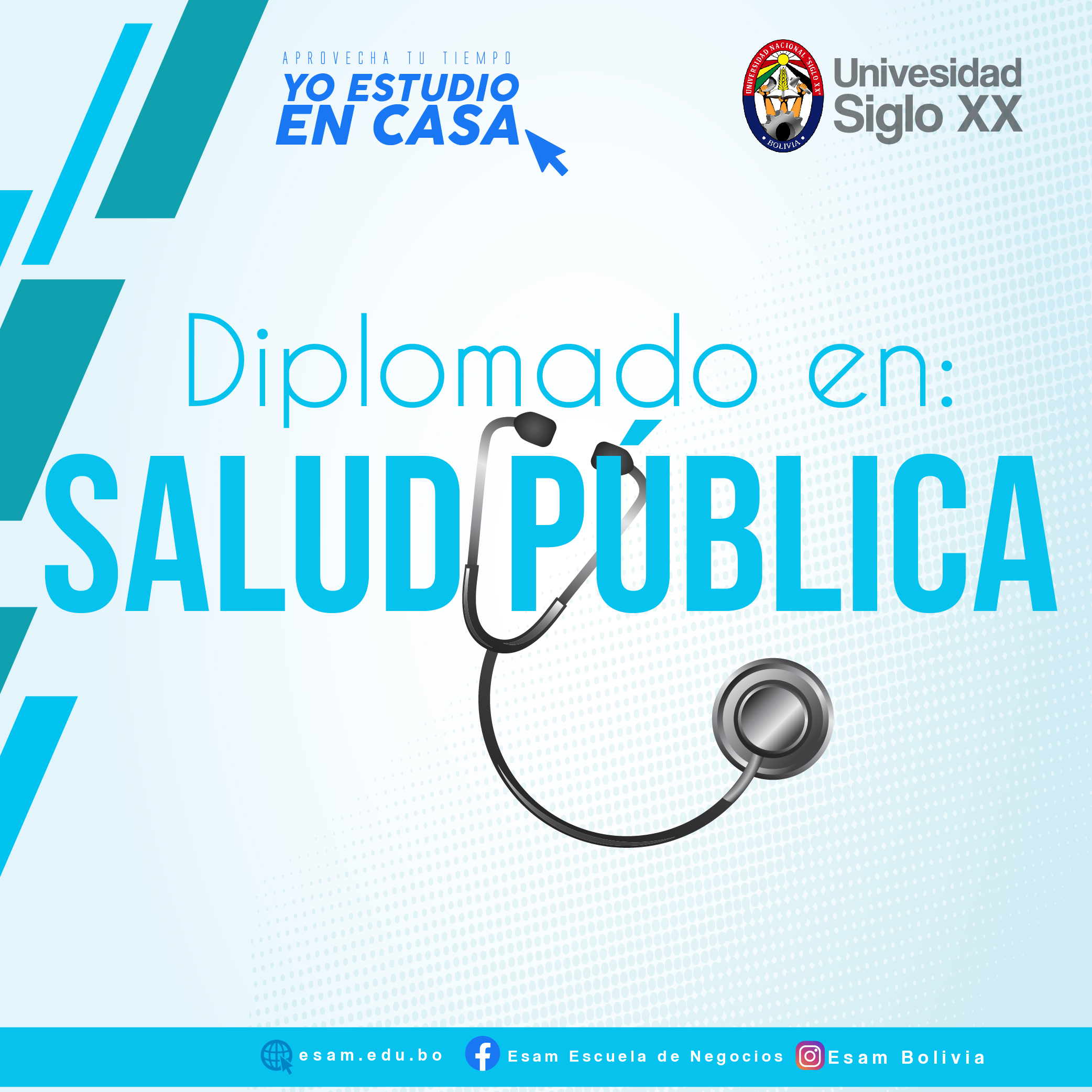 Pordata del programa Diplomado En Salud Pública