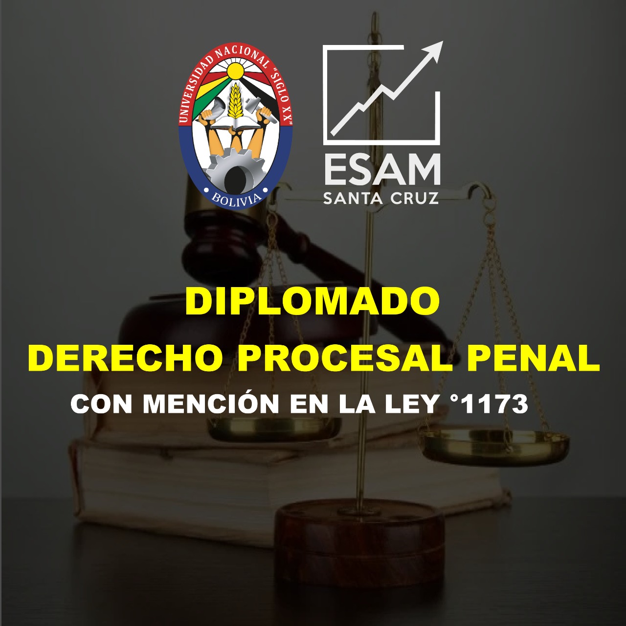 Pordata del programa Diplomado Derecho Procesal Penal Con Mencion En La Ley 1173