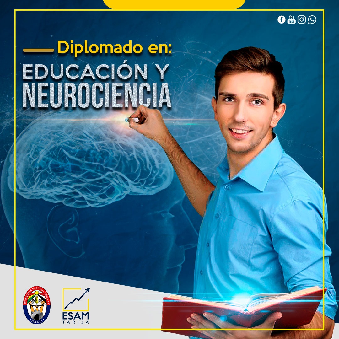 Diplomado En Educación y Neurociencia