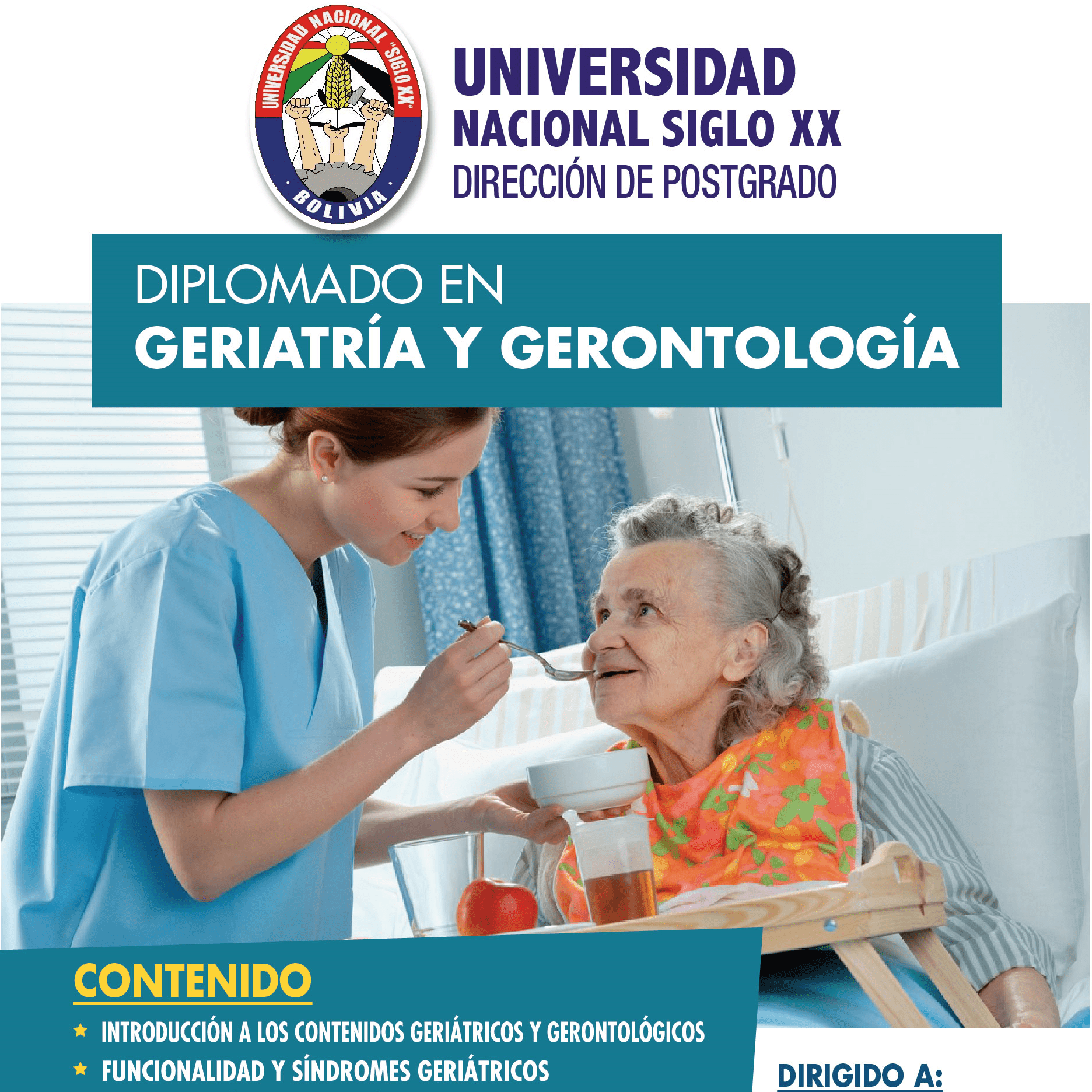 Pordata del programa Diplomado En Geriatria Y Gerontologia