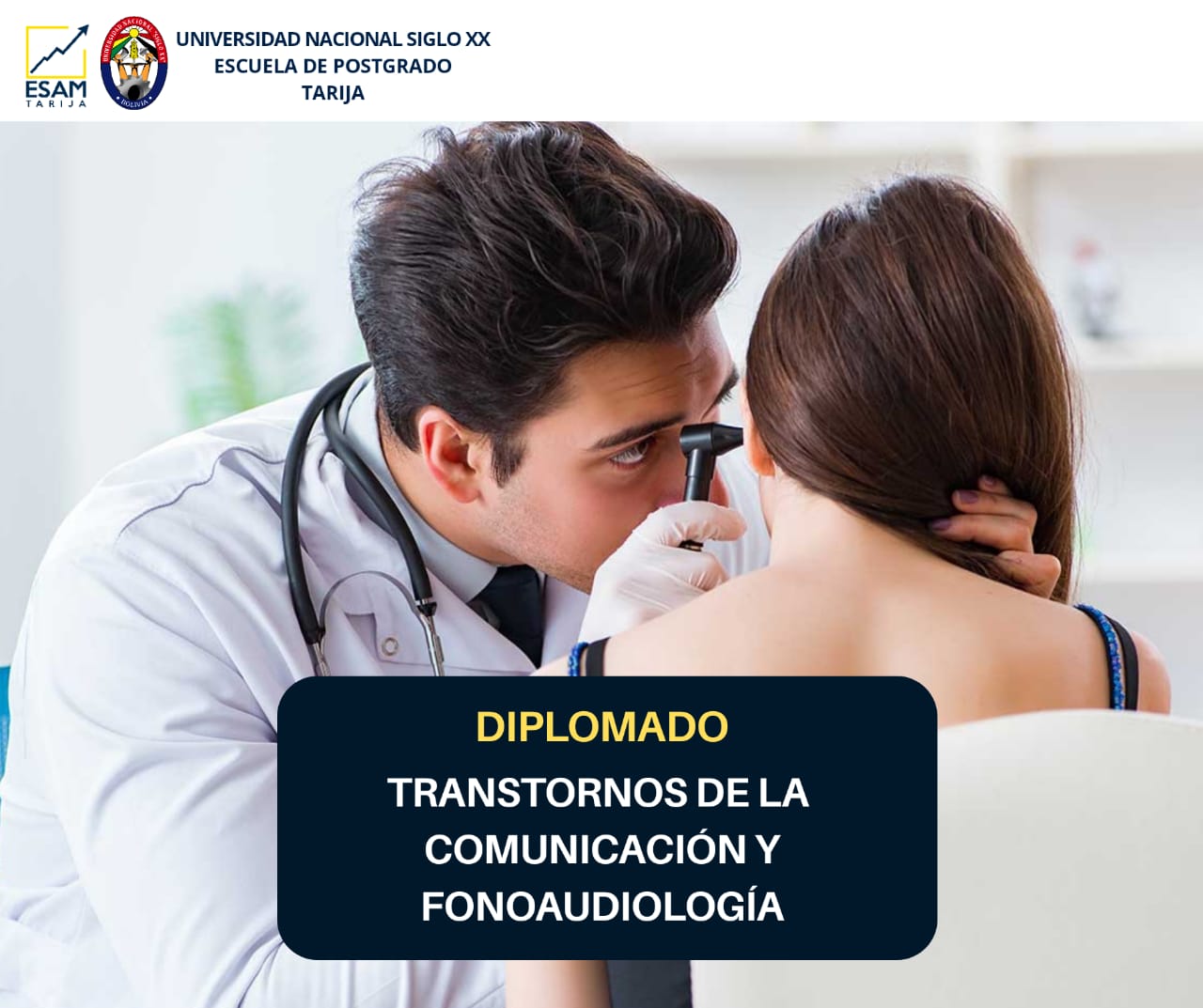 Pordata del programa Diplomado Trastornos De La Comunicación Y Fonoaudiología
