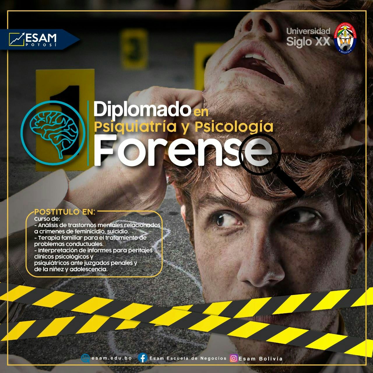 Pordata del programa Diplomado Psiquiatria Y Psicologia Forense