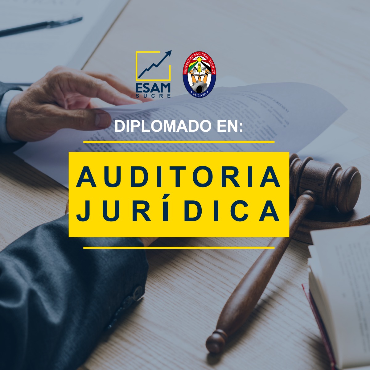 Pordata del programa Diplomado Auditoria Juridica