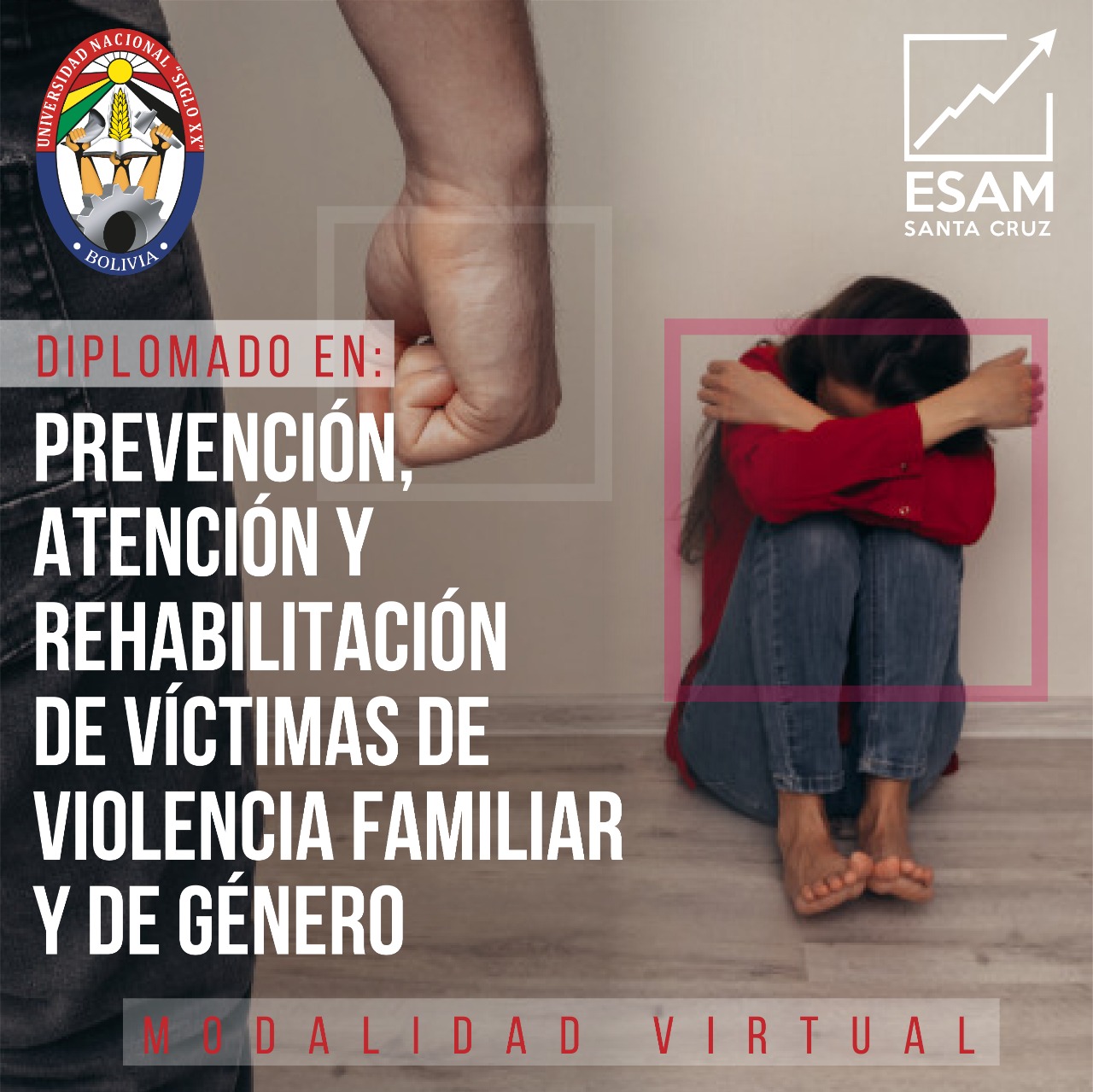 Diplomado Prevencion, Atencion Y Rehabilitacion De Victimas De Violencia Familiar Y De Género
