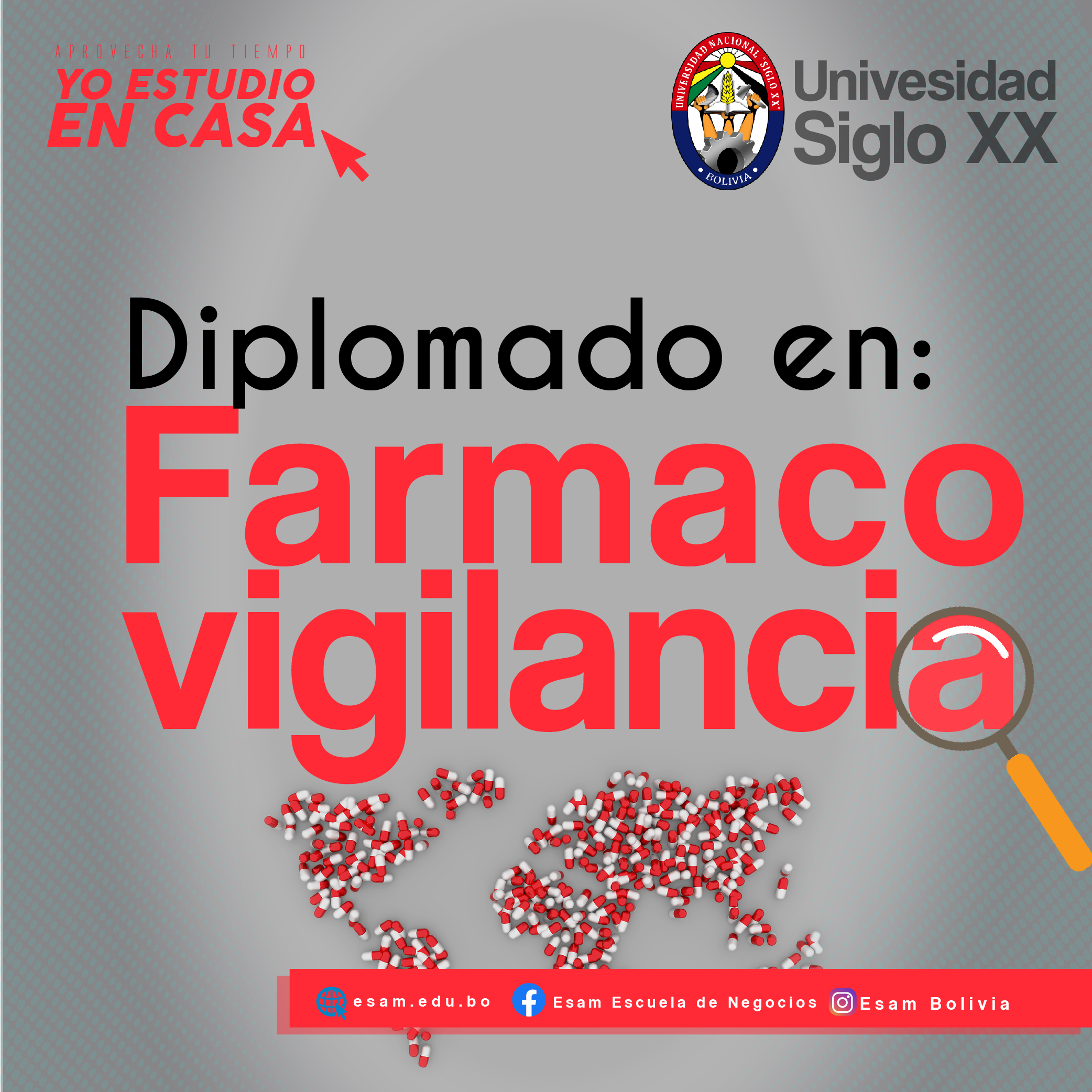 Pordata del programa Diplomado En Farmacovigilancia