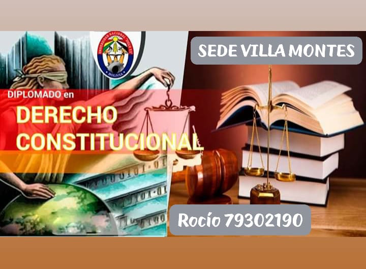Pordata del programa Diplomado En Derecho Constitucional