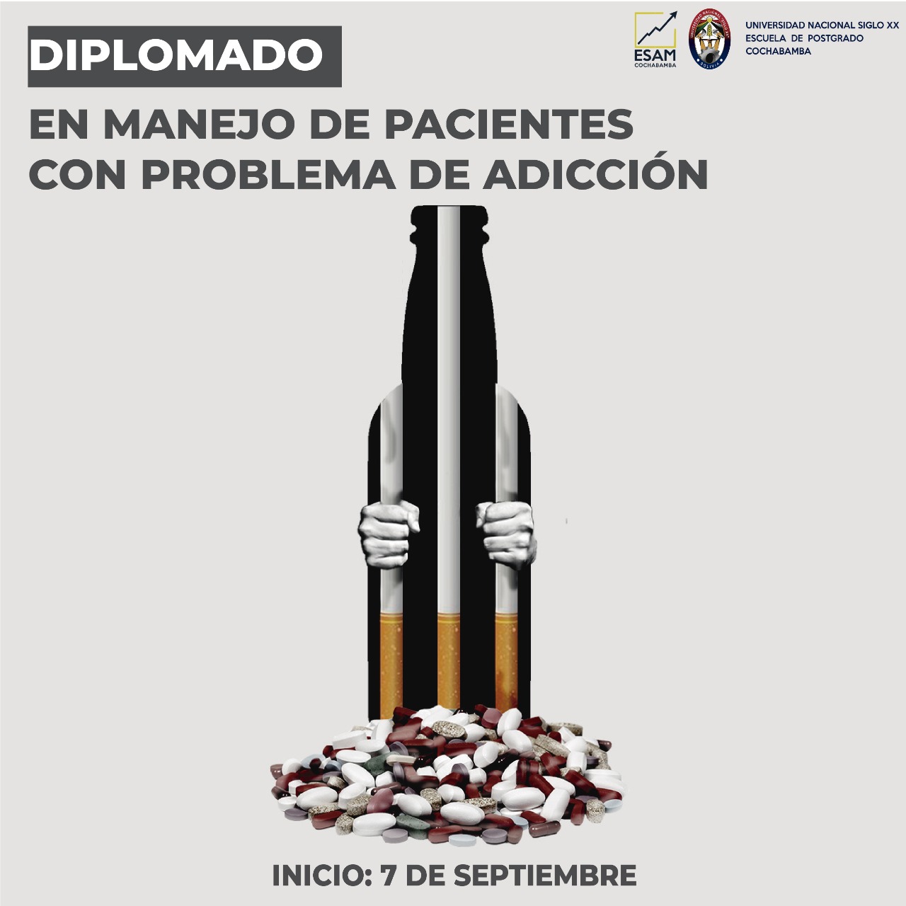 Pordata del programa Diplomado En Manejo De Pacientes Con Problema De Adicción