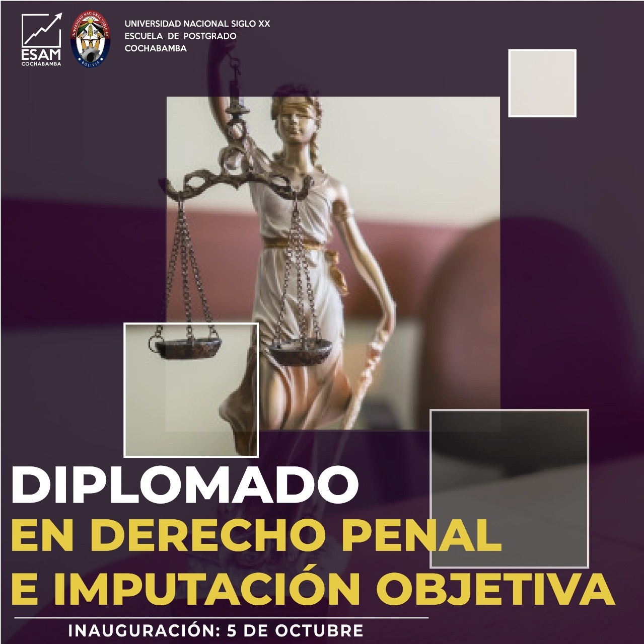 Pordata del programa Diplomado En Derecho Penal E Impugnación Objetiva